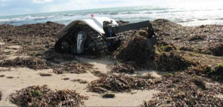The robot raking piles of sargassum seaweed at the waterline